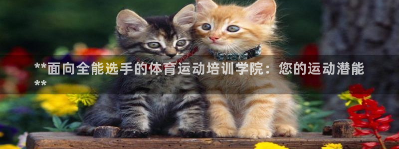 耀世娱乐怎么注册账号：**面向全能选手的体育运动培训