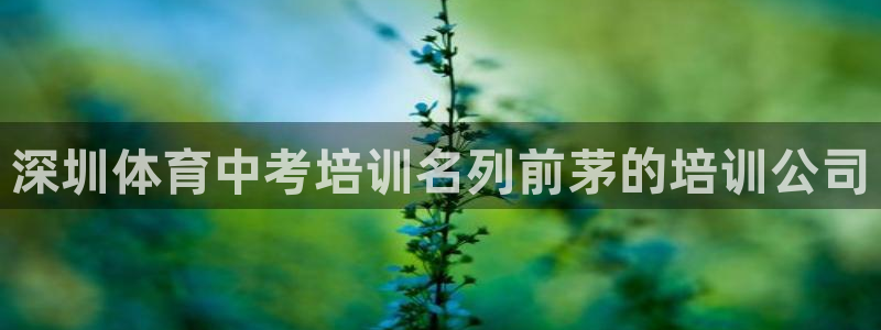 耀世开盘：深圳体育中考培训名列前茅的培训公司