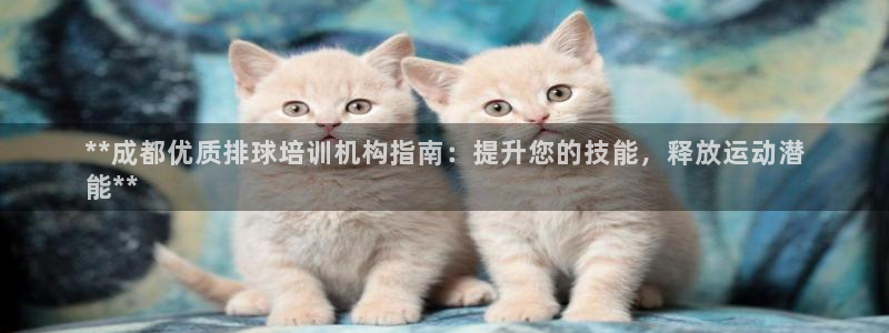 耀世平台代理注册登录：**成都优质排球培训机构指南：
