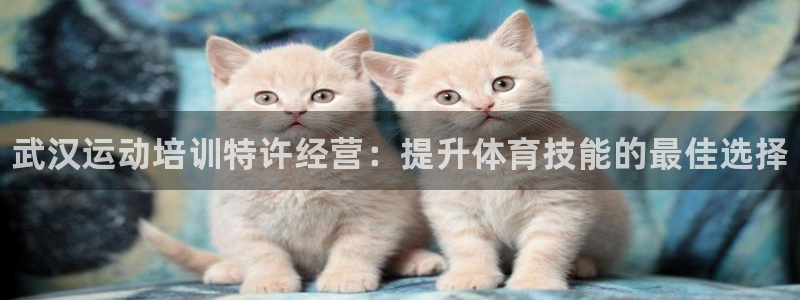 耀世平台注册网址是多少啊：武汉运动培训特许经营：提升