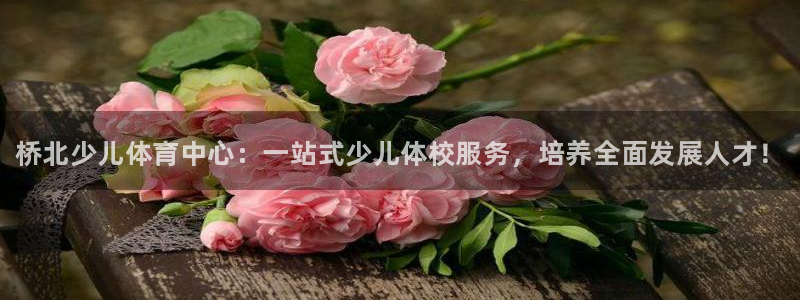 耀世娱乐官网网站入口