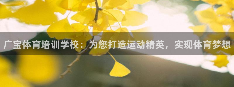 耀世娱乐登陆地址在哪：广宝体育培训学校：为您打造运动