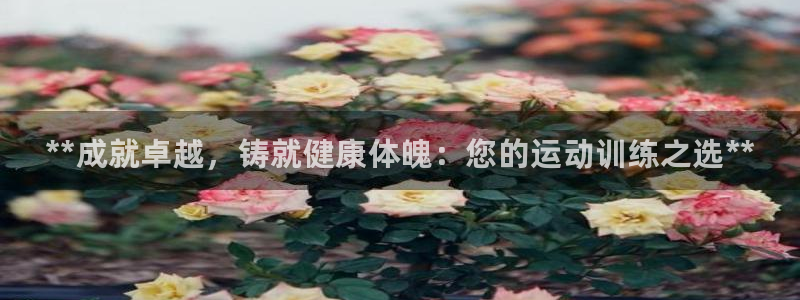 耀世娱乐下载链接安装包：**成就卓越，铸就健康体魄：您的运动