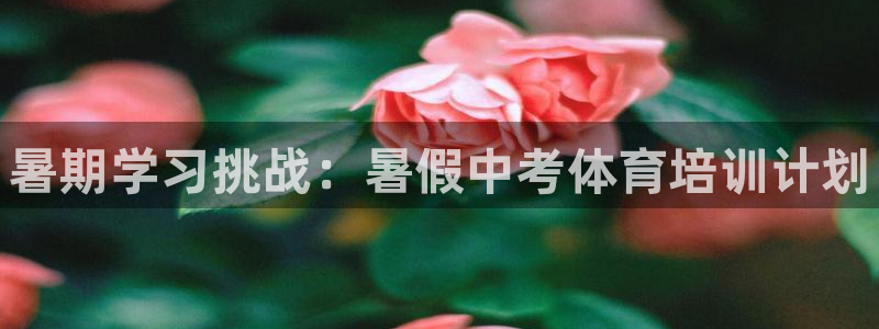 耀世平台必7O777：暑期学习挑战：暑假中考体育培训