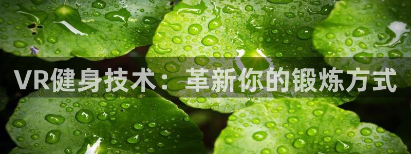 耀世金生产品介绍