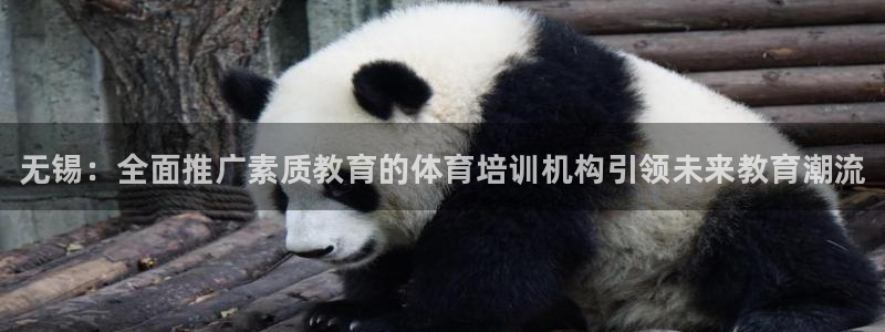 耀世捷科技：无锡：全面推广素质教育的体育培训机构引领