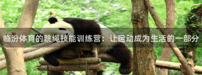 耀世娱乐app下载官网：临汾体育的跳绳技能训练营：让运动成为